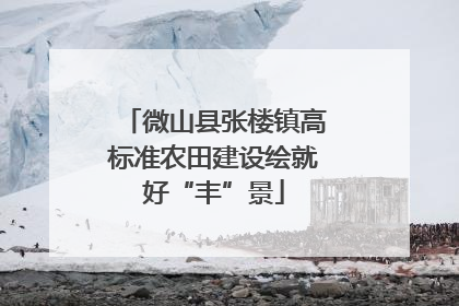 微山县张楼镇高标准农田建设绘就好“丰”景