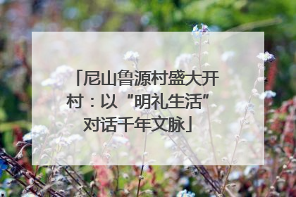 尼山鲁源村盛大开村：以“明礼生活”对话千年文脉