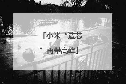 小米“造芯”再攀高峰