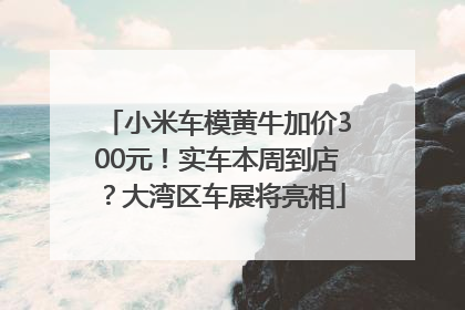 小米车模黄牛加价300元！实车本周到店？大湾区车展将亮相