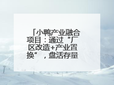 小鸭产业融合项目：通过“厂区改造+产业置换”，盘活存量，增值增效