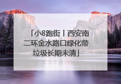 小8跑街丨西安南二环金水路口绿化带垃圾长期未清