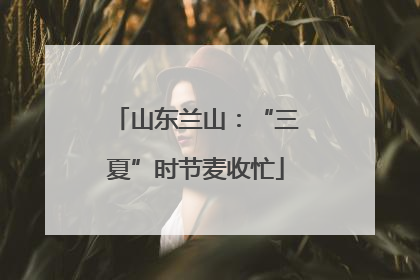 山东兰山：“三夏”时节麦收忙