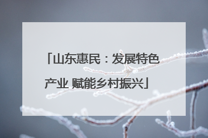 山东惠民：发展特色产业 赋能乡村振兴