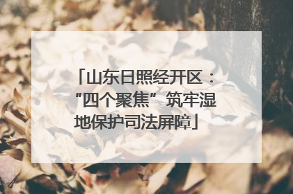 山东日照经开区：“四个聚焦”筑牢湿地保护司法屏障