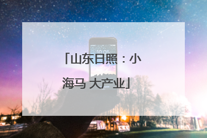 山东日照：小海马 大产业