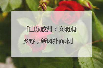 山东胶州：文明润乡野，新风扑面来