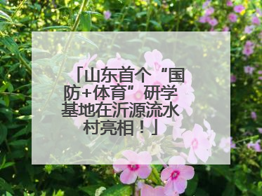 山东首个“国防+体育”研学基地在沂源流水村亮相！