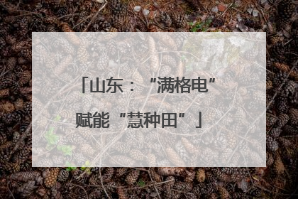 山东：“满格电”赋能“慧种田”