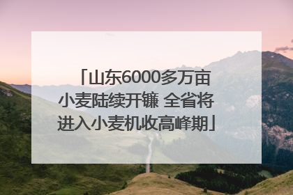 山东6000多万亩小麦陆续开镰 全省将进入小麦机收高峰期
