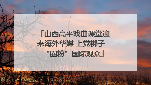 山西高平戏曲课堂迎来海外华媒 上党梆子“圈粉”国际观众