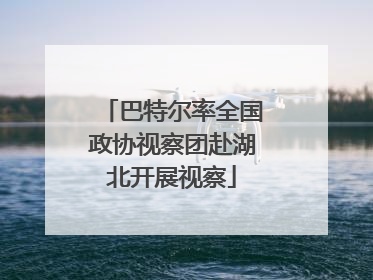 巴特尔率全国政协视察团赴湖北开展视察