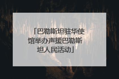 巴勒斯坦驻华使馆举办声援巴勒斯坦人民活动
