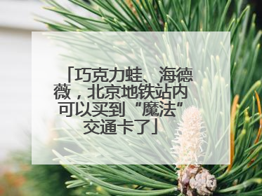 巧克力蛙、海德薇，北京地铁站内可以买到“魔法”交通卡了