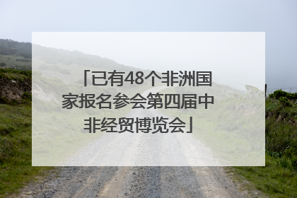 已有48个非洲国家报名参会第四届中非经贸博览会