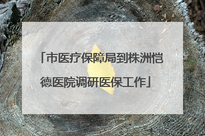 市医疗保障局到株洲恺德医院调研医保工作