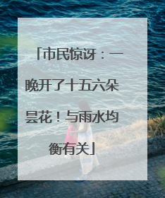 市民惊讶：一晚开了十五六朵昙花！与雨水均衡有关