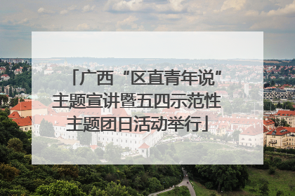 广西“区直青年说”主题宣讲暨五四示范性主题团日活动举行