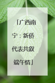 广西南宁：新侨代表共叙端午情