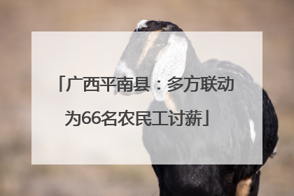广西平南县：多方联动为66名农民工讨薪