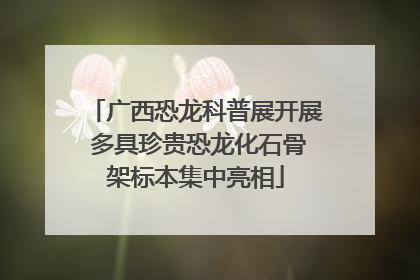 广西恐龙科普展开展 多具珍贵恐龙化石骨架标本集中亮相