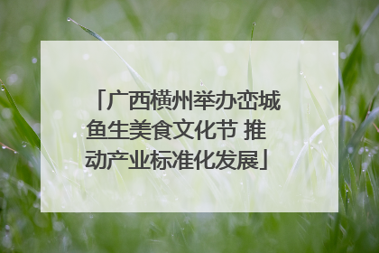 广西横州举办峦城鱼生美食文化节 推动产业标准化发展