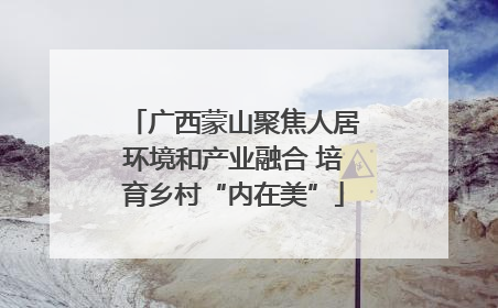 广西蒙山聚焦人居环境和产业融合 培育乡村“内在美”