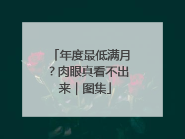 年度最低满月？肉眼真看不出来｜图集
