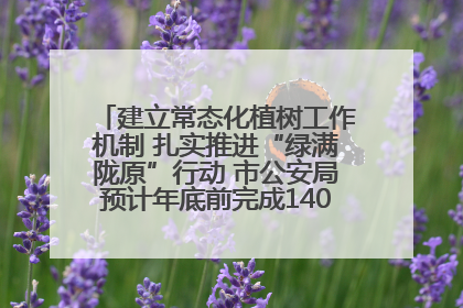 建立常态化植树工作机制 扎实推进“绿满陇原”行动 市公安局预计年底前完成1402亩绿化任务