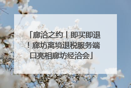 廊洽之约丨即买即退！廊坊离境退税服务端口亮相廊坊经洽会