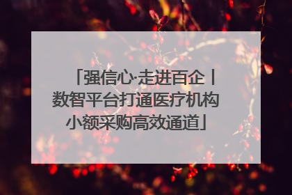 强信心·走进百企丨数智平台打通医疗机构小额采购高效通道