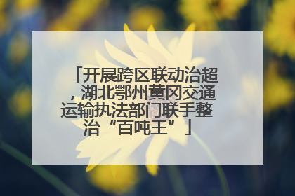 开展跨区联动治超，湖北鄂州黄冈交通运输执法部门联手整治“百吨王”