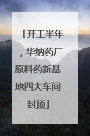 开工半年，华纳药厂原料药新基地四大车间封顶