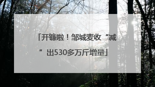 开镰啦！邹城麦收“减”出530多万斤增量