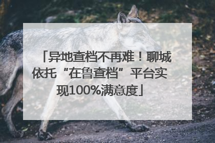 异地查档不再难！聊城依托“在鲁查档”平台实现100%满意度