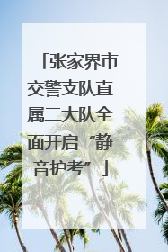 张家界市交警支队直属二大队全面开启“静音护考”