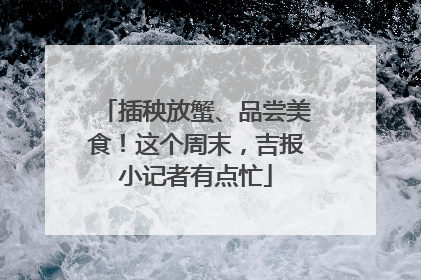 插秧放蟹、品尝美食！这个周末，吉报小记者有点忙