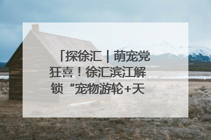 探徐汇｜萌宠党狂喜！徐汇滨江解锁“宠物游轮+天台乐园”双玩法