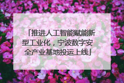 推进人工智能赋能新型工业化，宁波数字安全产业基地投运上线