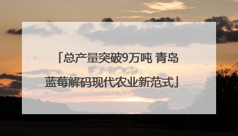 总产量突破9万吨 青岛蓝莓解码现代农业新范式