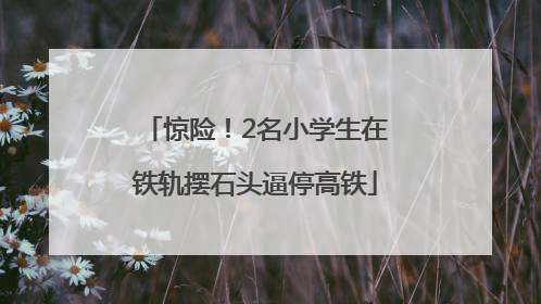 惊险！2名小学生在铁轨摆石头逼停高铁