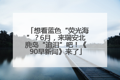 想看蓝色“荧光海”？6月，来瑞安北麂岛“追泪”吧！《90早新闻》来了