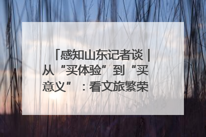 感知山东记者谈｜从“买体验”到“买意义”：看文旅繁荣背后的幸福新定义