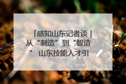 感知山东记者谈｜从“制造”到“智造” 山东技能人才引领产业升级