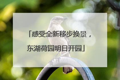 感受全新移步换景，东湖荷园明日开园