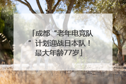 成都“老年电竞队”计划迎战日本队！最大年龄77岁