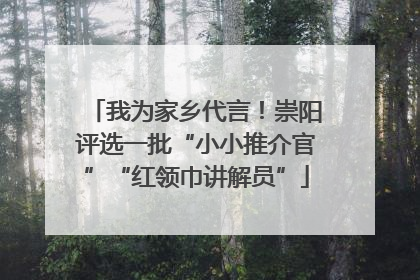 我为家乡代言！崇阳评选一批“小小推介官”“红领巾讲解员”