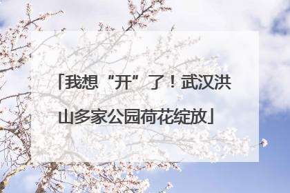 我想“开”了！武汉洪山多家公园荷花绽放