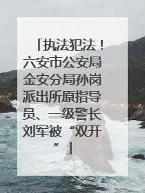 执法犯法！六安市公安局金安分局孙岗派出所原指导员、一级警长刘军被“双开”