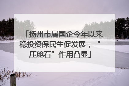扬州市属国企今年以来稳投资保民生促发展，“压舱石”作用凸显